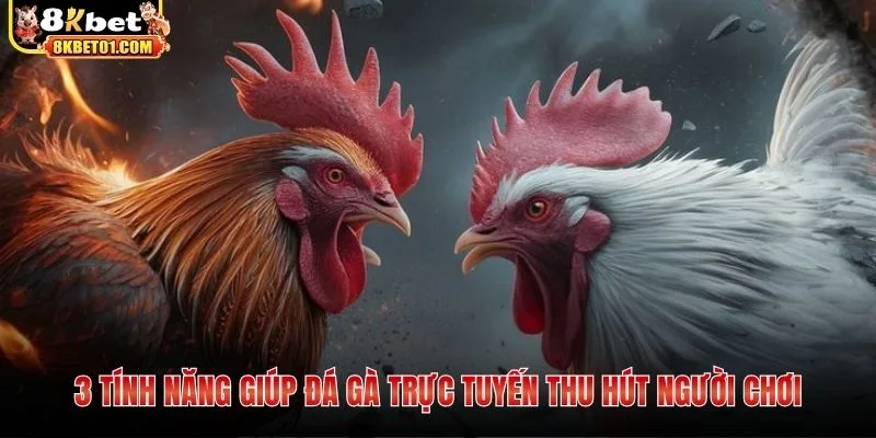 3 tính năng giúp đá gà trực tuyến thu hút người chơi