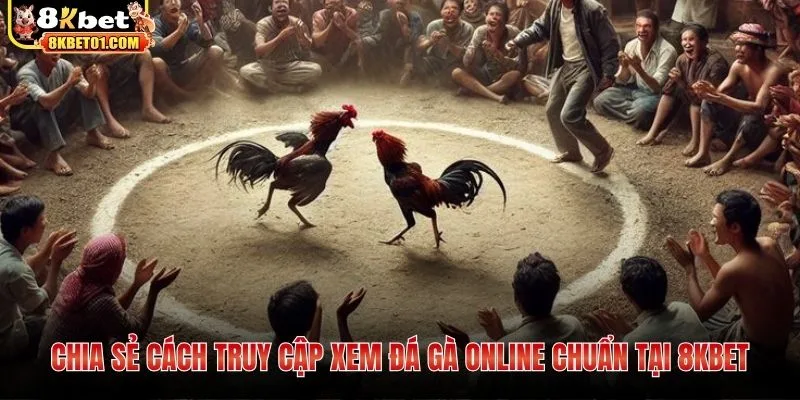 Chia sẻ cách truy cập xem đá gà online chuẩn tại 8KBET