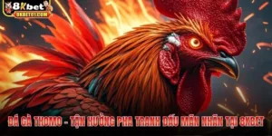 Đá gà thomo