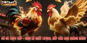 Đá gà trực tiếp