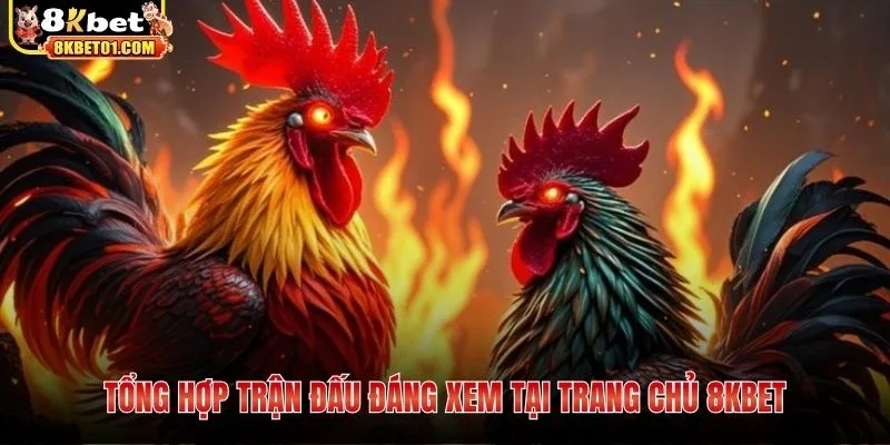 Tổng hợp trận đấu đáng xem tại trang chủ 8KBET